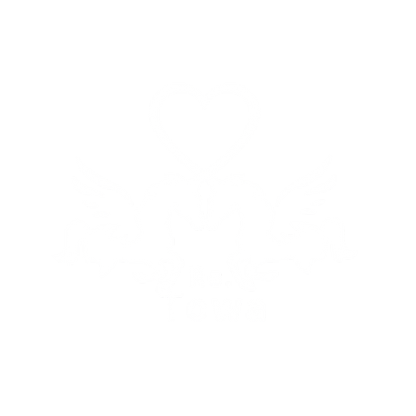 Re.Towa